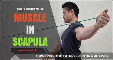 Effective Stretches to Relieve Pulled Scapula Muscle Pain and Tension