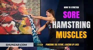 Effective Stretches to Relieve Sore Hamstring Muscles and Improve Flexibility