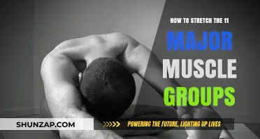 Effective Stretching Techniques for Targeting All 11 Major Muscle Groups