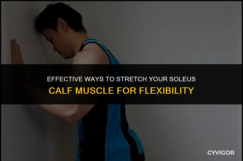 how to stretch the soleus calf muscle
