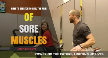 Effective Stretching Techniques to Relieve Sore Muscle Pain and Tension