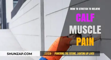 Effective Calf Stretches to Ease Pain and Improve Flexibility Fast