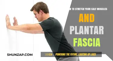 Effective Stretches for Calf Muscles and Plantar Fascia Relief