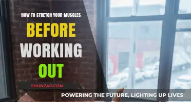 Effective Pre-Workout Stretching Techniques to Enhance Performance and Prevent Injury