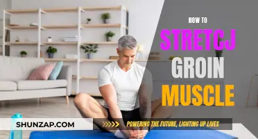 Groin Muscle Stretching: Techniques for Flexibility and Pain Relief