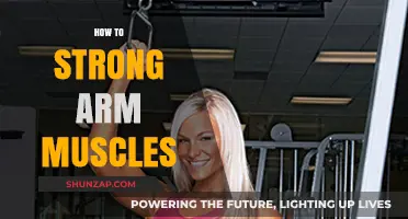Effective Techniques to Build and Strengthen Powerful Arm Muscles