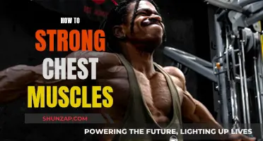 Building a Strong Chest: Ultimate Muscle-Building Guide