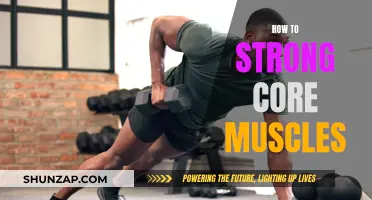 Building a Strong Core: Secrets to a Powerful Midsection