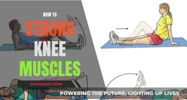 Stronger Knee Muscles: Exercises for Flexibility and Strength