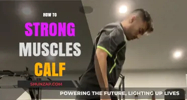 Building Powerful Calves: A Comprehensive Guide to Strength Training