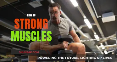 Building Strong Muscles: Effective Strategies for Success