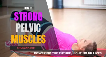 Pelvic Muscle Strengthening: Simple Exercises for Powerful Results