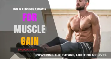 Effective Workout Structure for Maximum Muscle Gain: A Comprehensive Guide