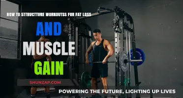 Effective Workout Structuring for Fat Loss and Muscle Gain