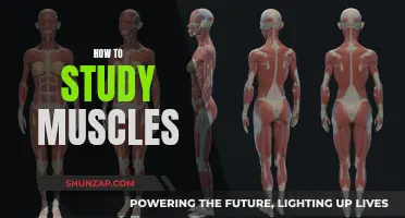 Mastering Muscle Memory: Study Strategies for Success