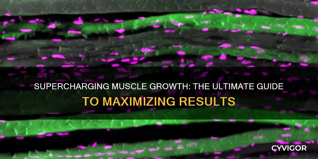 how to super charge muscles