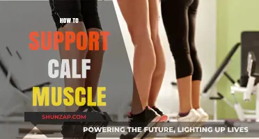 Strengthen Your Calves: A Guide to Optimal Muscle Support