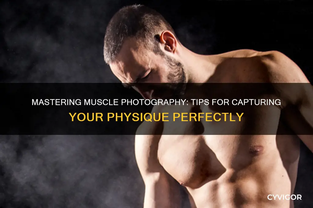 how to take a good muscle picture