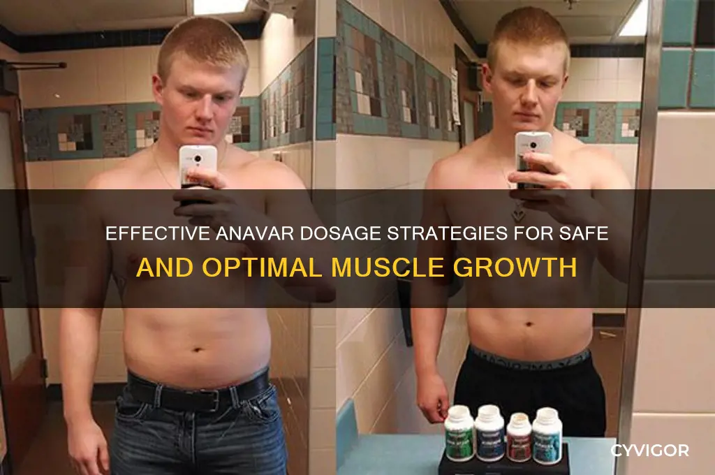 how to take anavar for muscle gain