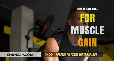 Maximize Muscle Growth: Optimal BCAA Timing and Dosage Guide