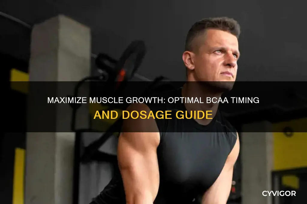 how to take bcaa for muscle gain