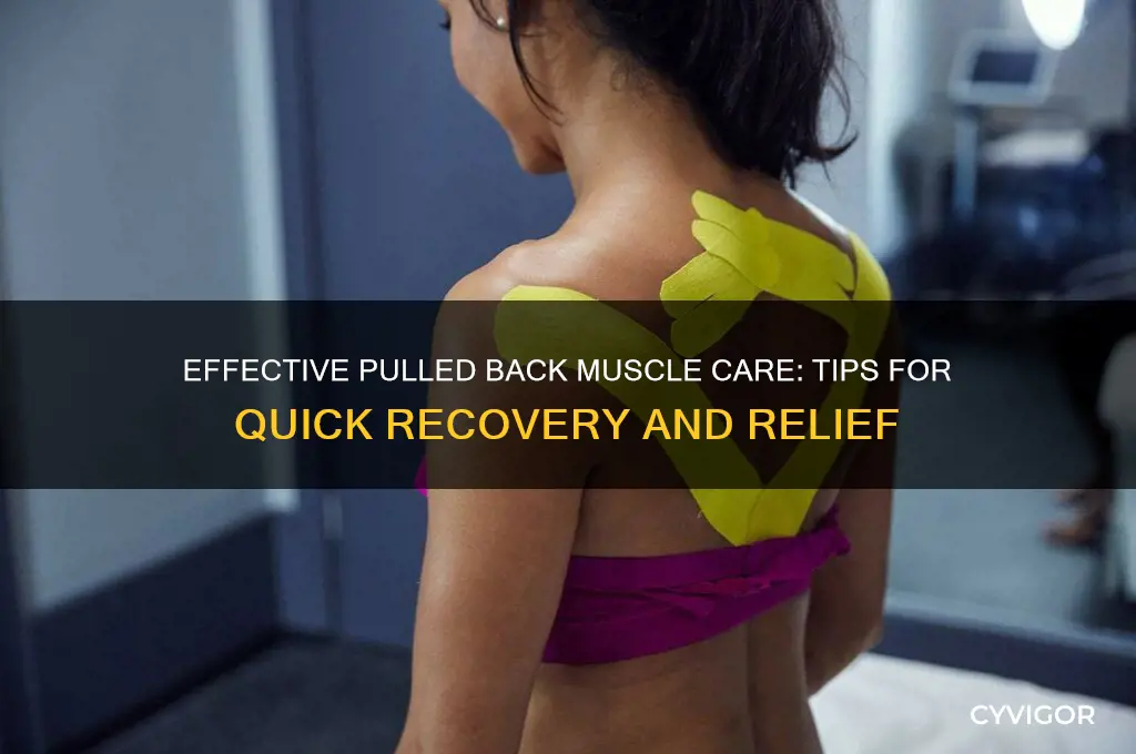 how to take care of a pulled back muscle