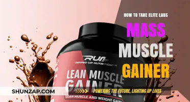 Maximize Gains: Effective Tips for Taking Elite Labs Mass Muscle Gainer