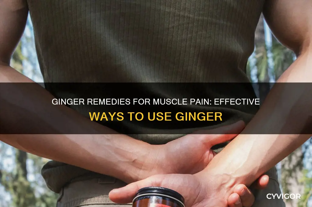 how to take ginger for muscle pain