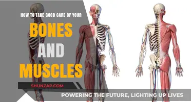 Strengthen Your Foundation: Essential Tips for Healthy Bones and Muscles
