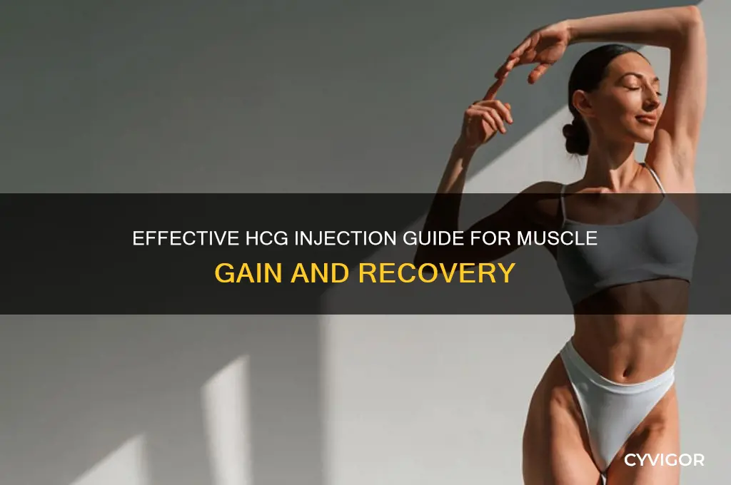 how to take hcg injection for muscle gain