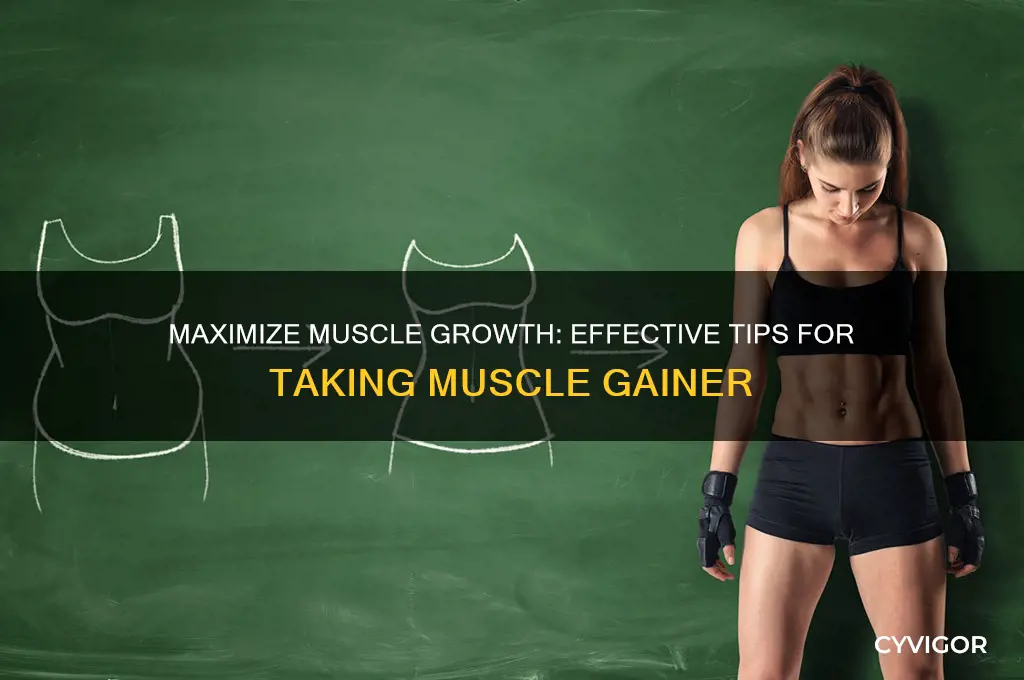 how to take muscle gainer
