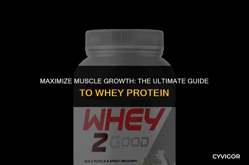 how to take whey protein to build muscle