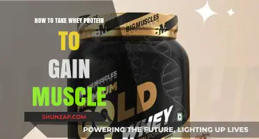 Maximize Muscle Growth: Effective Ways to Take Whey Protein
