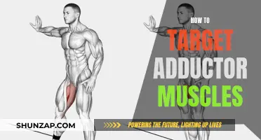 Target Adductor Muscles: Focus on These Exercises for Results