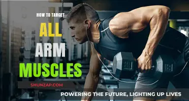 Sculpt Strong Arms: Targeting All Muscles for Maximum Definition