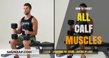 Complete Calf Workout: Targeting All Muscles for Strength and Definition