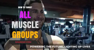 Master Full-Body Fitness: Targeting All Muscle Groups Effectively