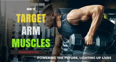 Effective Arm Muscle Targeting: Techniques for Strength and Definition