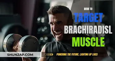 Target Brachiradialis: Exercises to Strengthen Your Forearm Muscle