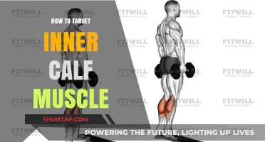 Sculpting Strong Inner Calves: A Comprehensive Guide to Targeted Exercises