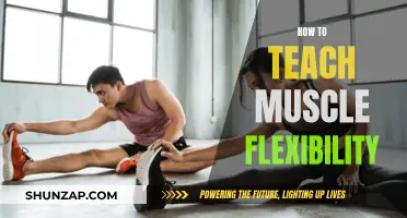 Teaching Muscle Flexibility: Techniques for Optimal Body Movement