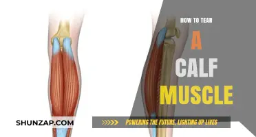 Understanding Calf Muscle Tears: Causes, Symptoms, and Recovery Tips