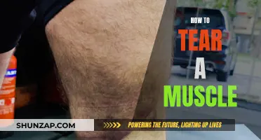 Tearing a Muscle: Causes, Prevention, and Treatment Options