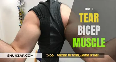 Tearing Bicep Muscle: Causes, Prevention, and Treatment Options