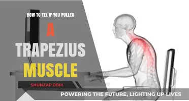 Identifying a Pulled Trapezius Muscle: Symptoms and Quick Relief Tips