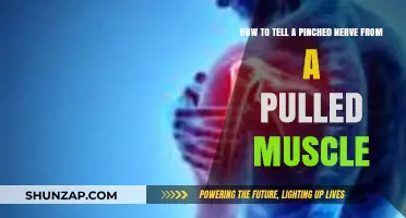 Pinched Nerve vs. Pulled Muscle: Identifying the Difference and Finding Relief