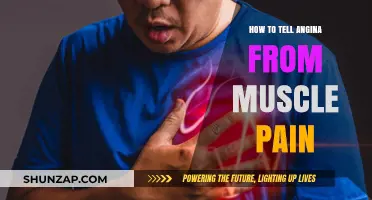 Distinguishing Angina from Muscle Pain: Key Symptoms and Warning Signs