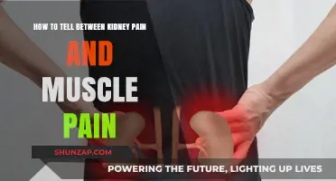 Kidney Pain vs. Muscle Pain: Key Differences and Symptoms Explained