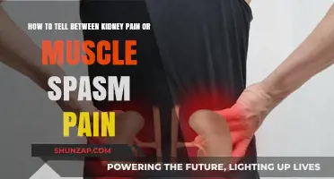 Kidney Pain vs. Muscle Spasm: Identifying the Difference and Causes