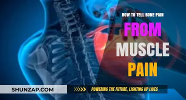 Bone Pain vs. Muscle Pain: Key Differences and How to Identify Them